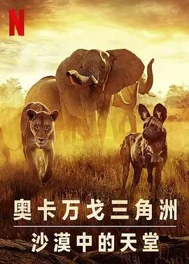 幸存的天堂封面