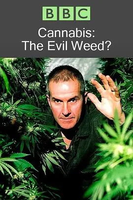 BBC 地平线系列：大麻：罪恶之种？封面