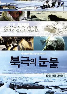 北极的眼泪 북극의 눈물封面