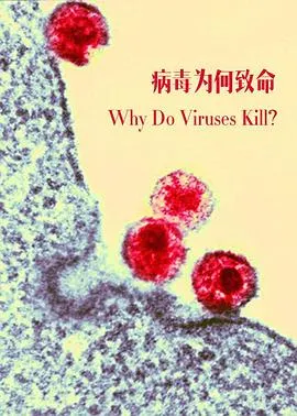 病毒为何致命封面
