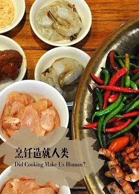 地平线系列：烹饪造就人类吗封面