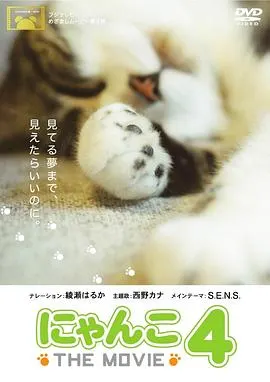 猫咪物语4 にゃんこ封面