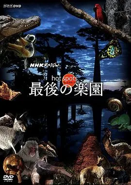 HOT SPOTS 最后的乐园 ホットスポット 最後の楽園封面