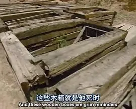 中国兵马俑封面