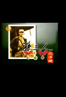 孙立人沉浮录封面