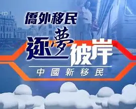 逐梦彼岸--中国新移民封面