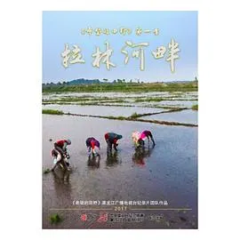 希望的田野：拉林河畔封面