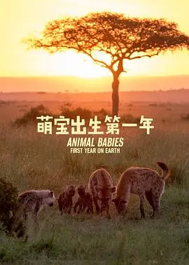 萌宝出生第一年封面