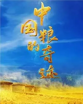 中国粮的奇迹封面