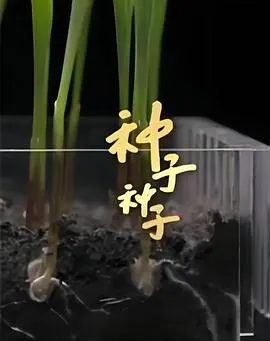 种子封面