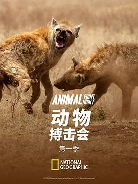 动物搏击会 第一季封面