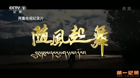 随风起舞封面