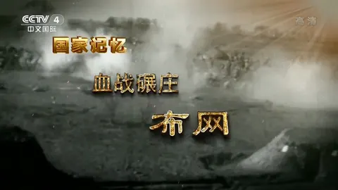 国家记忆·血战碾庄封面