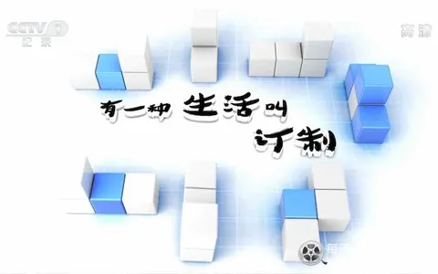 有一种生活叫订制封面