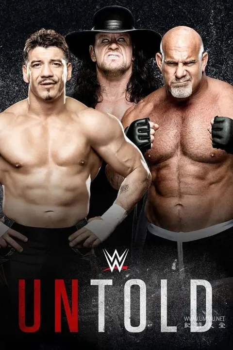 WWE未尽之事封面