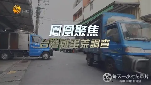 台湾鸡蛋荒调查封面