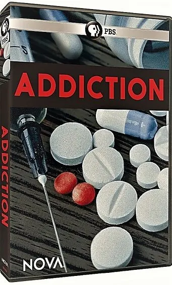 成瘾封面