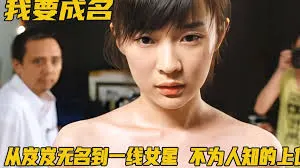 我要成名：网红成长纪事封面