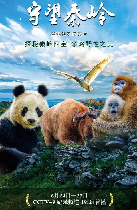 守望秦岭封面