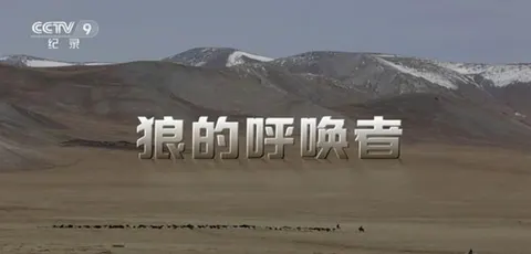 狼的呼唤者封面