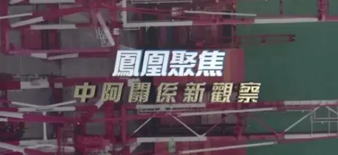 中阿关系新观察封面