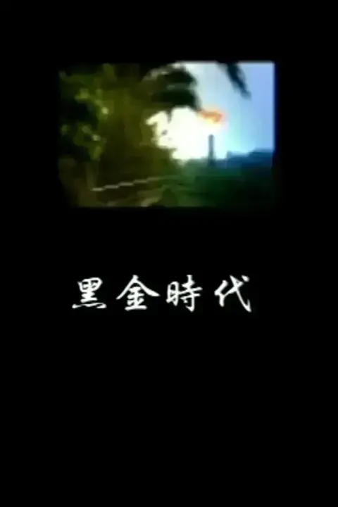 凤凰大视野之黑金时代封面
