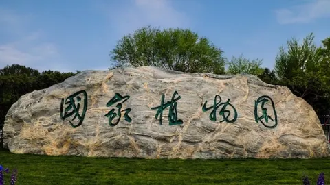 国家植物园来了封面