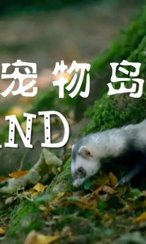 宠物岛封面