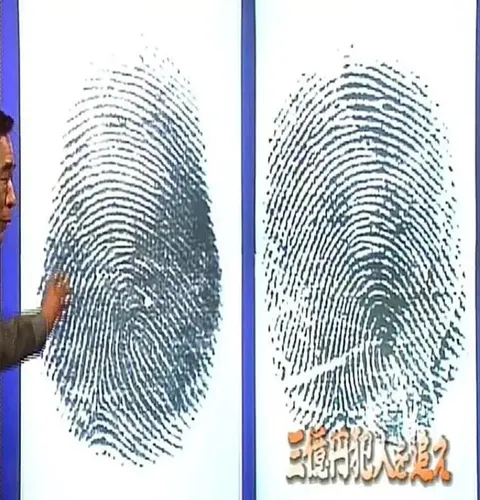 追踪三亿日元劫犯-指纹鉴识人员执着的调查 三僟円犯人を追え ～鑑識課指紋係•執念の大捜査～封面