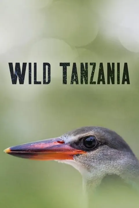 狂野坦桑尼亚 第一季封面