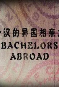 单身汉的异国相亲之旅封面