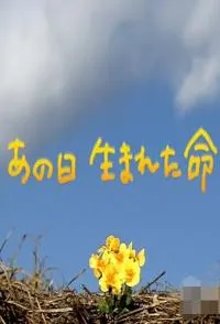 生于3·11 东日本大地震三周年封面