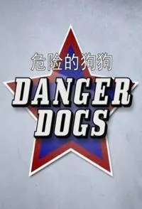 危险的狗狗封面