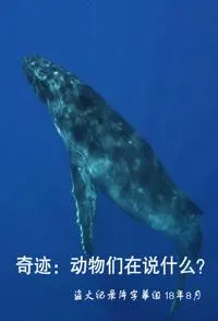 奇迹：动物们在说什么封面