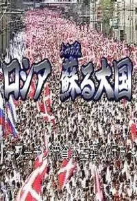 俄罗斯 苏醒的大国 普金式资本主义的去向封面