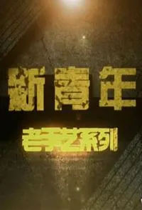 新青年:老手艺系列封面