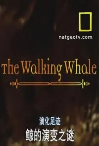 演化足迹封面
