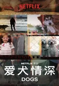 爱犬情深 全2季封面