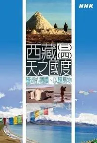 西藏：天之国度封面