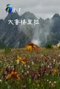 大香格里拉封面