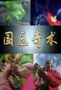 国医奇术封面