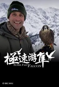 极速游隼封面