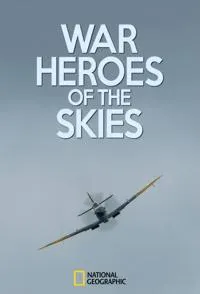 空战英雄封面