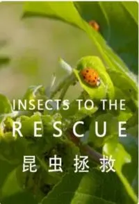 昆虫拯救封面
