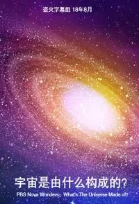 奇迹：宇宙是由什么组成的？封面