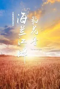 海兰江畔稻花香封面