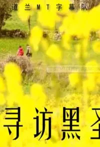 巡礼之路 寻访黑圣母封面