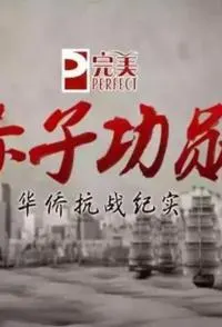 赤子功勋 华侨抗战纪实封面