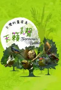 天籁美声 台湾画眉鸟 台湾画眉鸟封面