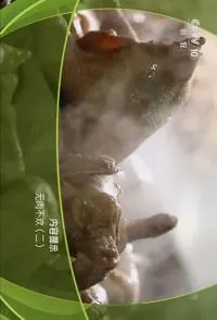 美味假期·无肉不欢封面
